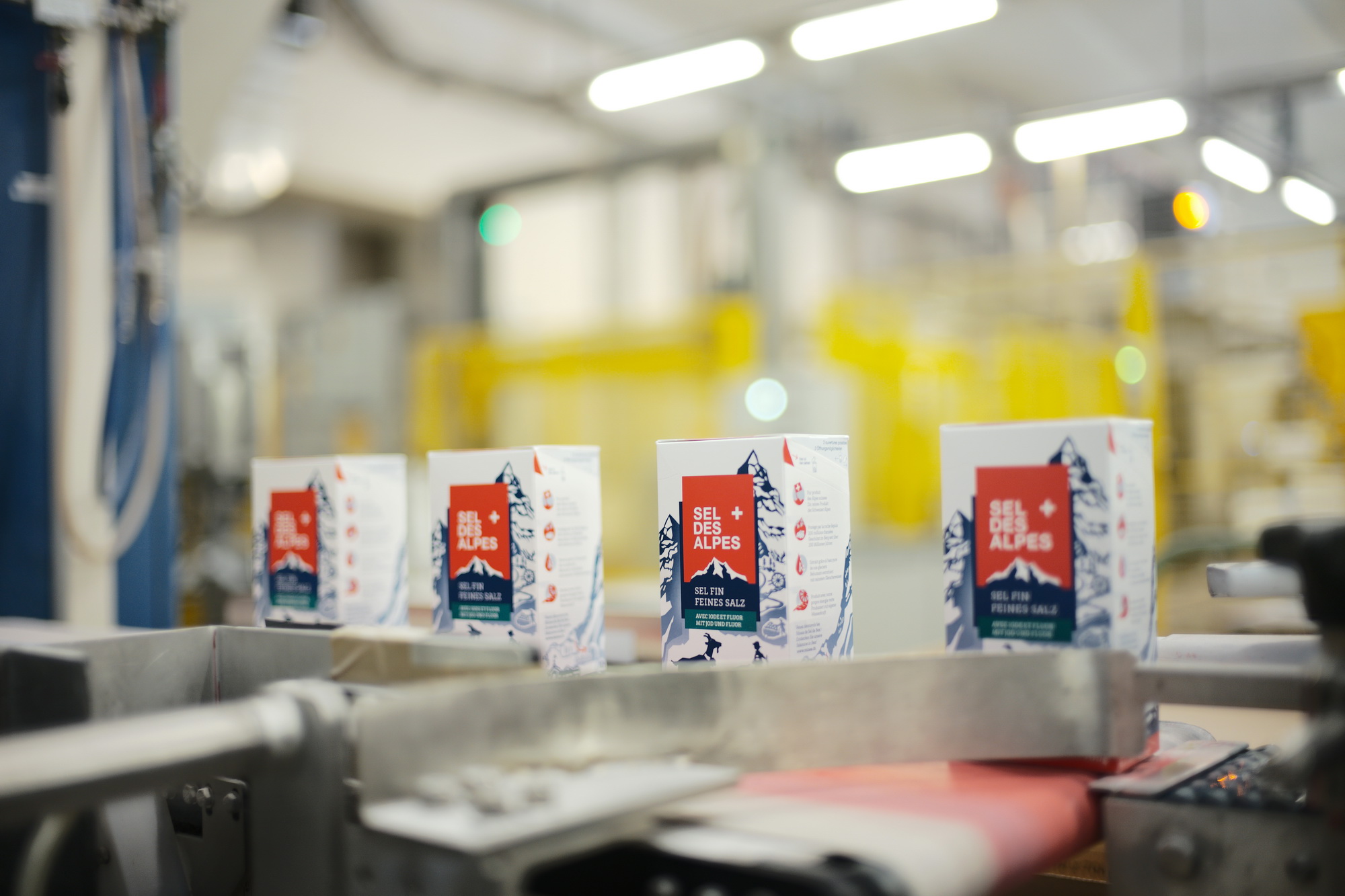 Salz der Rohstoff aus den Schweizer Alpen House of Switzerland